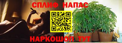 молекула духа Малгобек