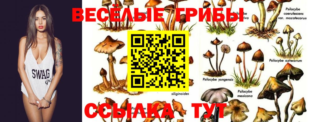 Химки  Псилоцибиновые грибы прущие грибы  Галлюциногенные грибы Magic Shrooms  Вход с VPN 