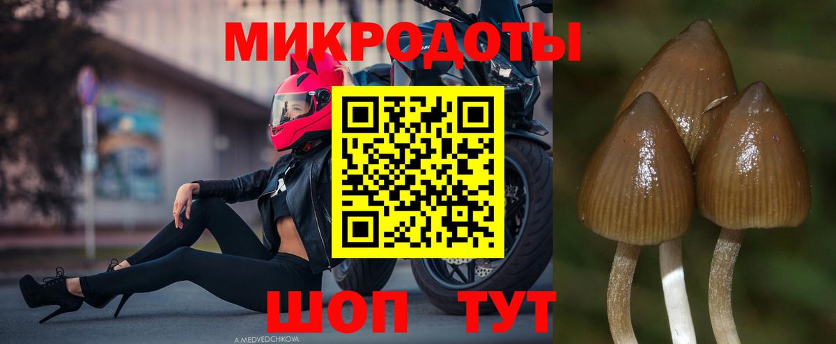 Псилоцибиновые грибы прущие грибы Химки
