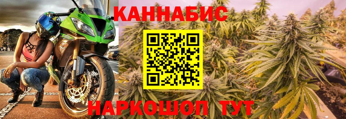 Канабис OG Kush Химки